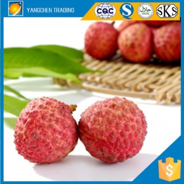 Wholesale canned food best selling food canned lychee