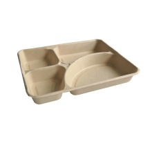 Sugarcane Tableware: Compostable and Biodegradable Dinnerware