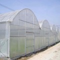 Tunnel Tropical Plastic Film Production Greenhouse