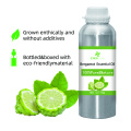 Amostra de bergamota de bergamota livre de bergamota por atacado 100% pura matéria orgânica natural de alta qualidade Óleo de bergamot para sabor de alimentos
