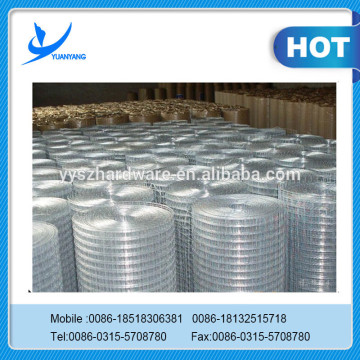 Supply Electroplate Galvanized Welded Wire Mesh Factory