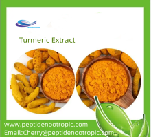 Organic Turmeric Extract 95% Curcumin Powder