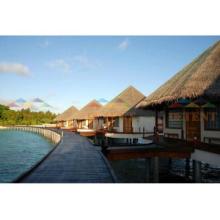 The Thatched Roof Hotel House-1