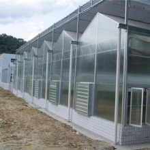 Multi-span PC Board Plastic Greenhouse