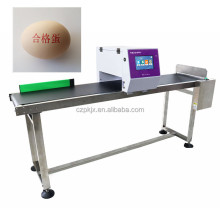 Industrial Inkjet Coding Machine for Production Date and Expiration Labeling on Egg Conveyor Lines