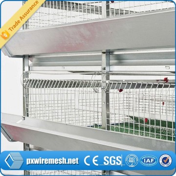 CE manufacturing cage for quail/wire mesh quail cage