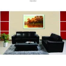 modern leaher sofa