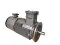 IE4 Three Phase Explosion Proof Induction Motor