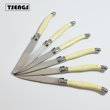 Laguiole Steak Knives 6-Piece Set with Color PP Handles