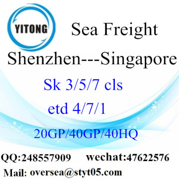 Shenzhen Port Sea Freight Shipping To Singapore