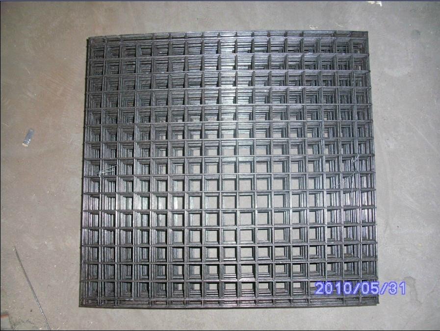 Galvanized Welded Wire Mesh in Rolls