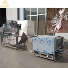 South Africa Poultry Chicken Slaughter Machine Line