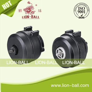 Top quality Unit bearing motor