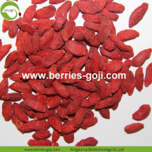 Fabryka hurtownia diet cukrowa Lowberries