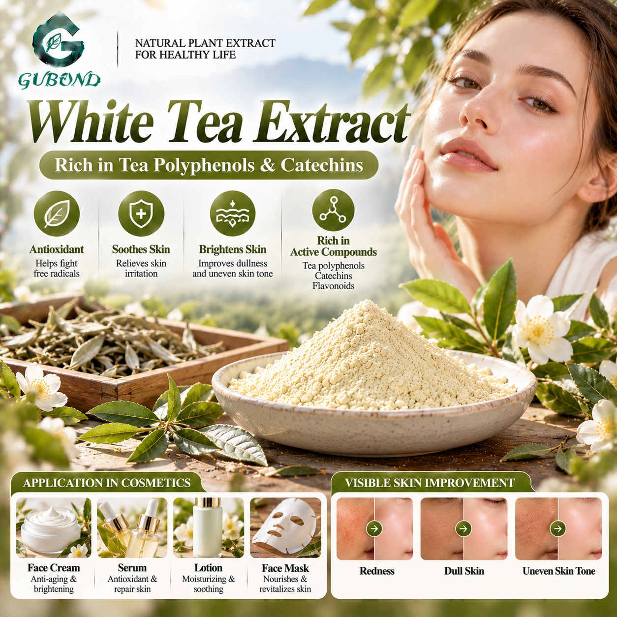 Экстракт белого чая (6) White Tea Extract (6)