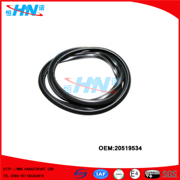 Window Weather Strip 20519534 Volvo Truck Parts