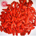 Superfood Beslenme Çoklu Vitamin-Mineral Goji Karpuzu