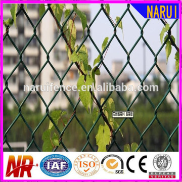 Plant Protection Netting Chain Link Fencing