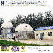 UASB Reactor Tank for Organic Sewage