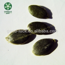 Class A, AA, AAA Pumpkin Seeds Grown Without Shell (GWS)
