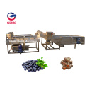 Citrus Fruit Washing and Grading Orange Washing Machine