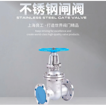 Válvula de puerta de acero inoxidable de alta calidad