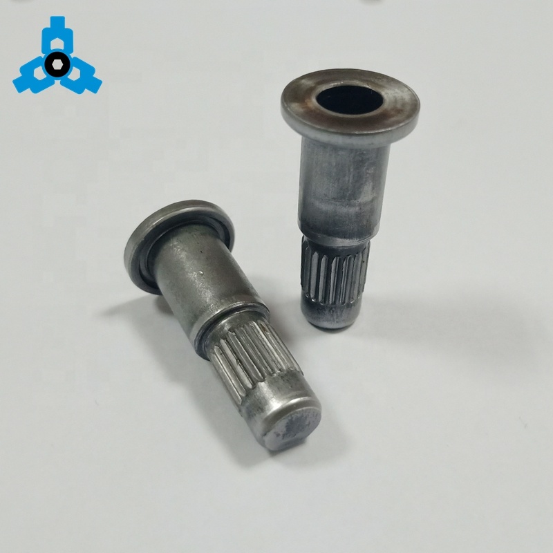 Wholesale Price Carbon Steel Flat Head Rivet Nut OEM Stock Support