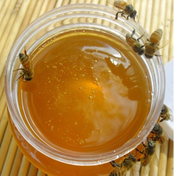 Wholsale sweet bee honey low price