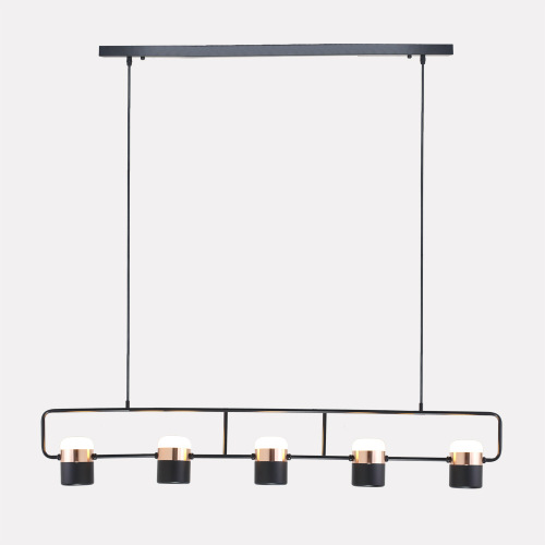 LEDER Metal Hanging Light Fixtures