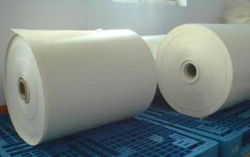 PLA Blister/PLA Blister Producing Company