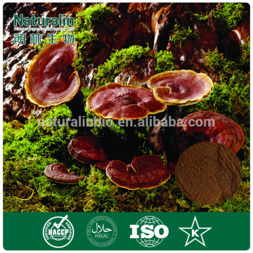 Reishi Mushroom Powder/Reishi Mushroom Eextract/Ganoderma Powder