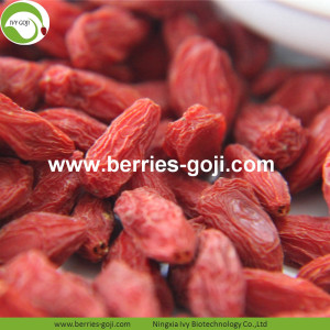 Nhà máy Bulk Herbal Loại Giá Wolfberries