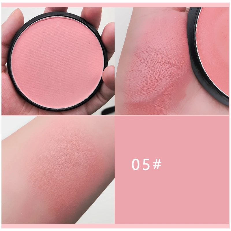 Wholesale Cosmetics Powder Blusher Custom Logo Multi Color Blush