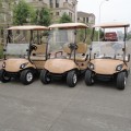 mini Gas Powered 250CC Golf Cart