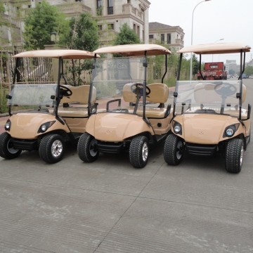 Fabbrica di carrelli da golf operati a batteria