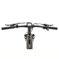 Hermess 29inch Green power adult Integrated electric mountain bike with central motor