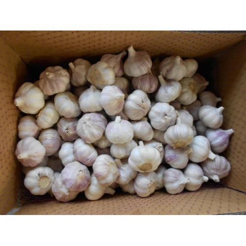 Mazao mapya ya 2018 Fresh Garlic