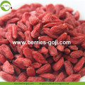 ขายส่งผลไม้ขนาดใหญ่มาตรฐาน Eu Goji Berry