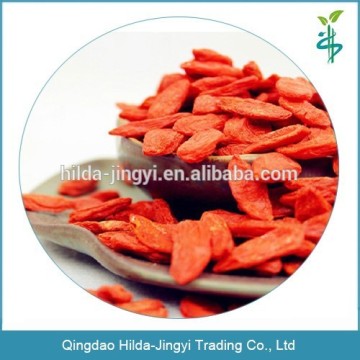 Ningxia goji berry healthy food