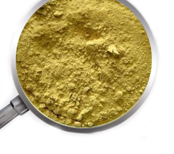 100% Water-soluble Hoodia Gordonii Extract