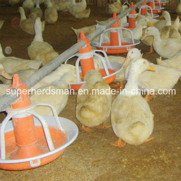 High Quality Poultry Feeders and Drinkers for Duck