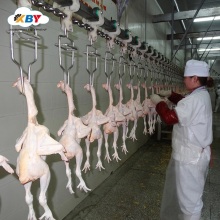 Halal Poultry Slaughtering Equipment and Abattoirs