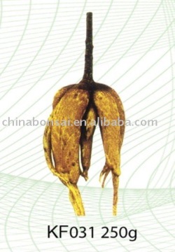 Indoor Chinese roots unroots nografted original Ficus Ginseng roots bonsai