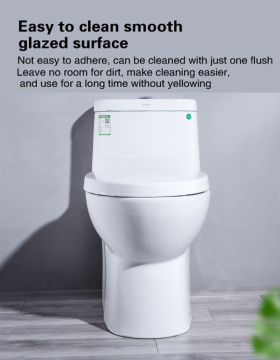 The application of toilet in modern life