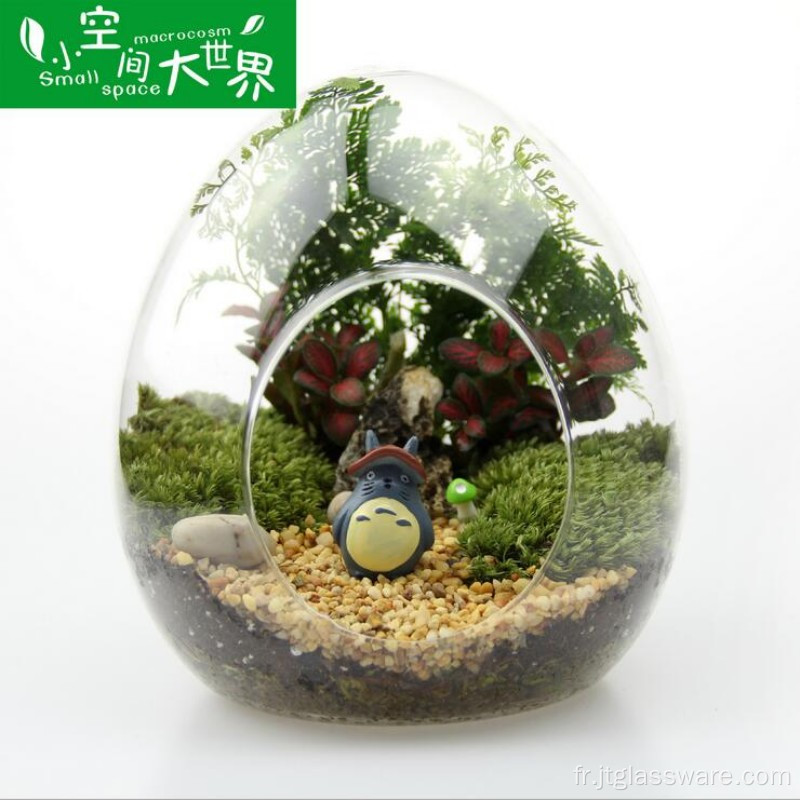 Vase en verre transparent Terrarium en verre suspendu