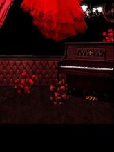 BJD Magnificent Piano Photography Settings y3142