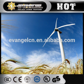 Power Wind Generator 1Kw Portable Wind Turbine