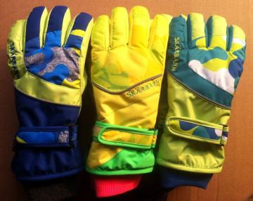 Sports Gloves, Ski Gloves, Warm Gloves (JSG-15019)