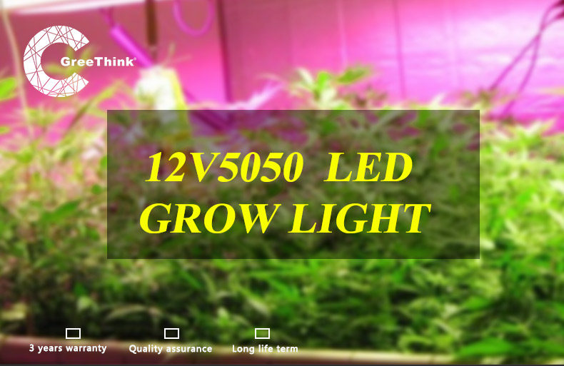 led grow light