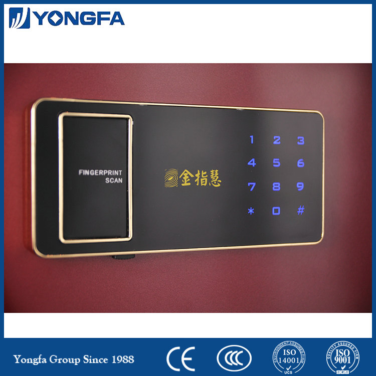 Luxury Fingerprint Safes